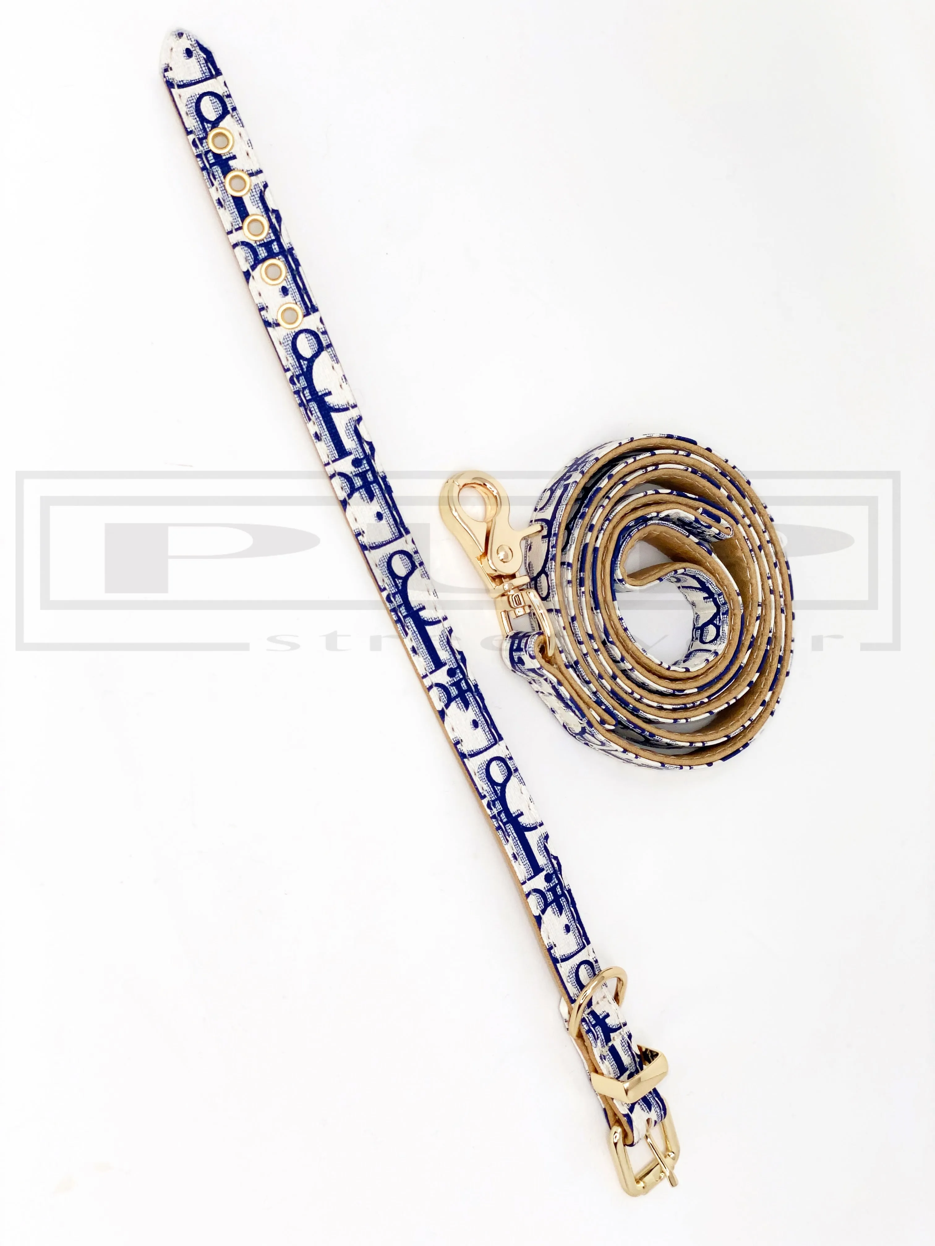 Dioorggy Buckle Collar and Leash