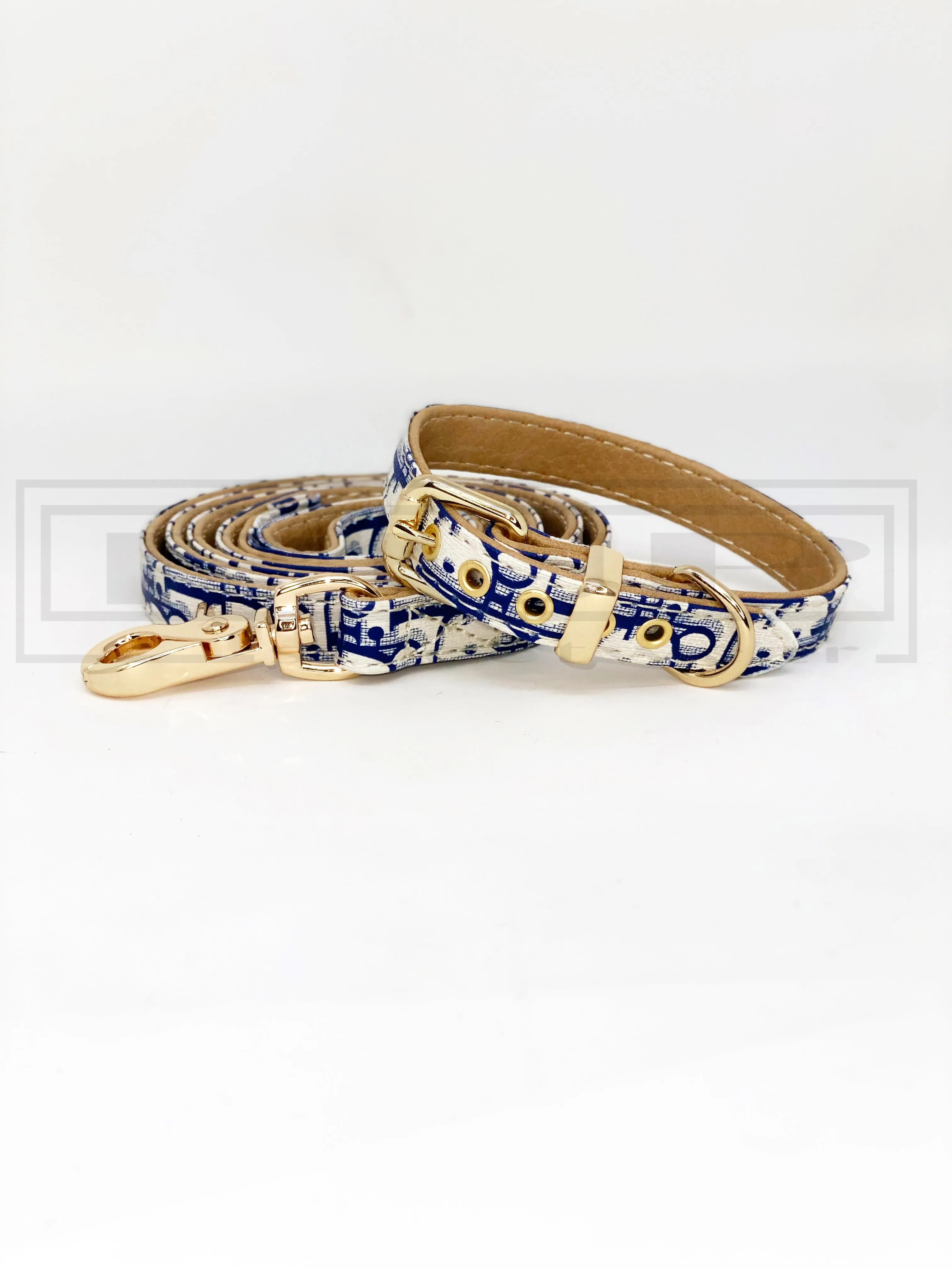 Dioorggy Buckle Collar and Leash