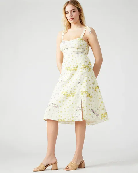 Steve Madden Carlynn Dress